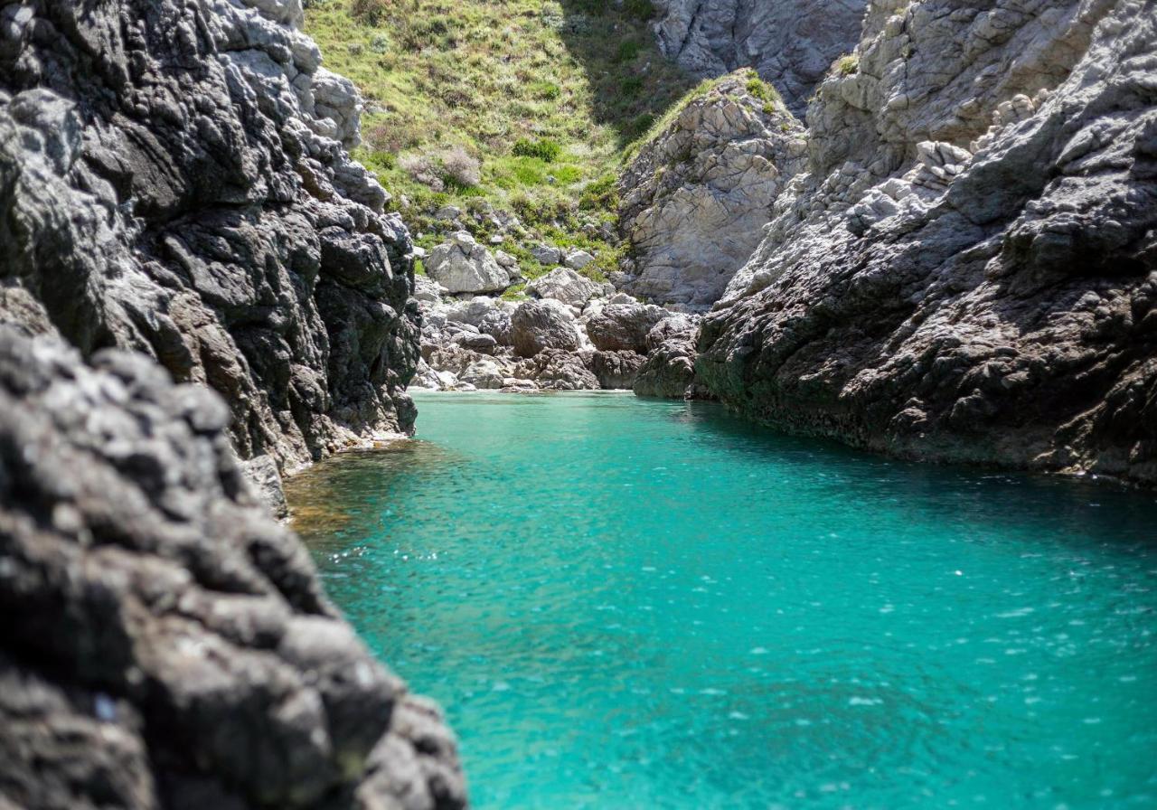 Hotel La Fattoria Sul Mare Capo Vaticano Eksteriør bilde