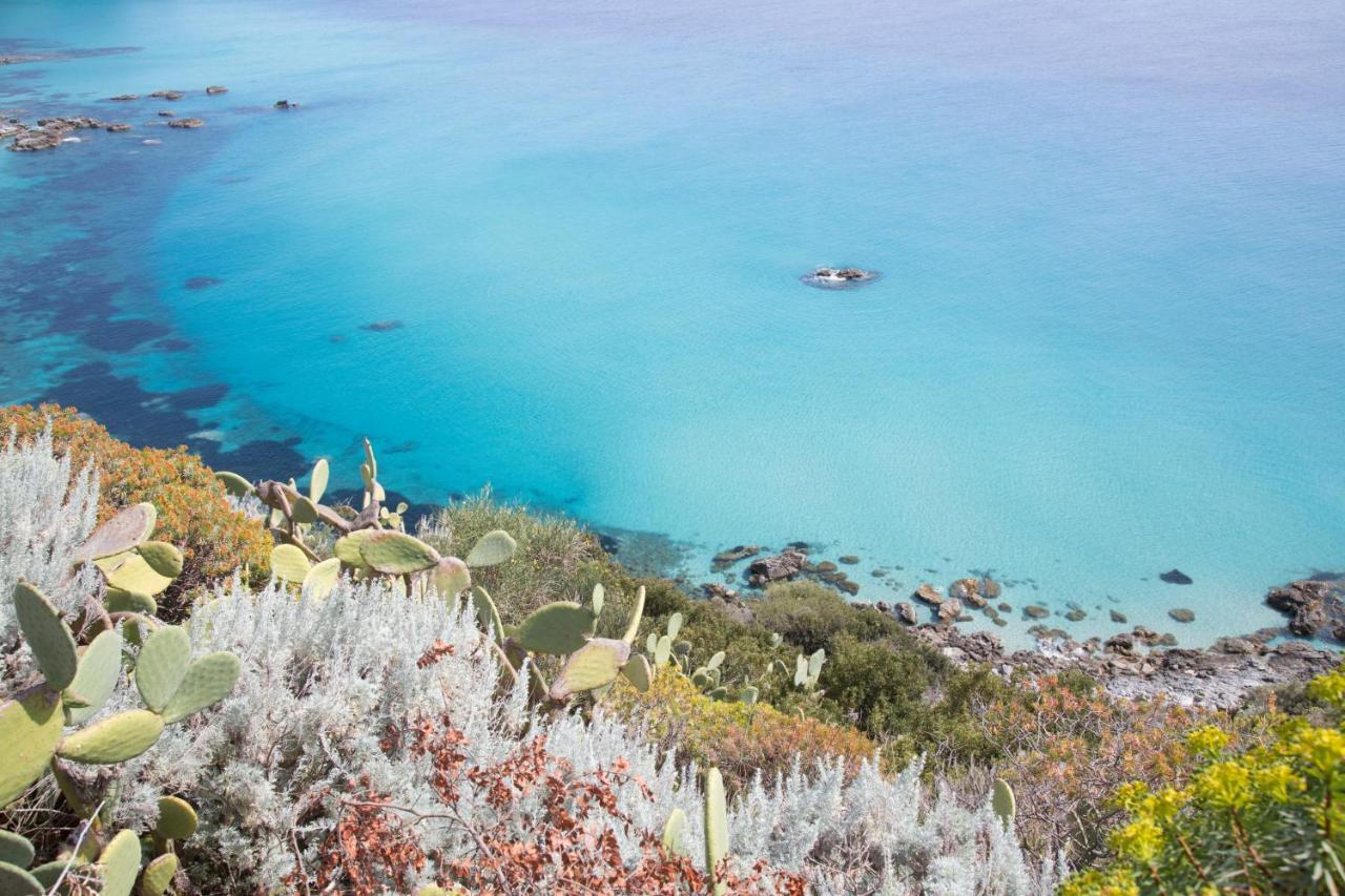 Hotel La Fattoria Sul Mare Capo Vaticano Eksteriør bilde